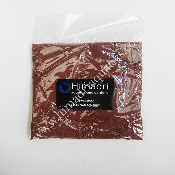 Prince Wean Pellets -Taiwan (100g)