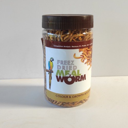Meal worm (freeze dried) - Image 2
