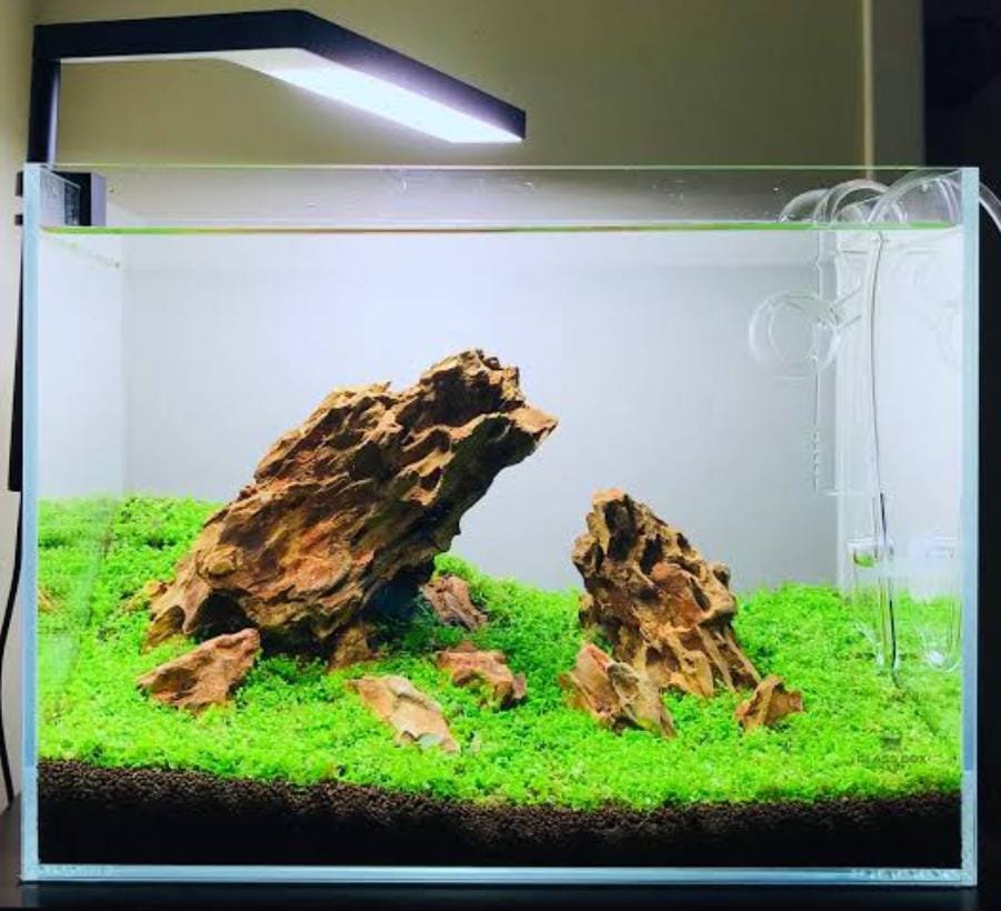 Aquarium Dragon Rock (500 grams) - Image 2