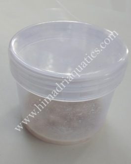 Microworm live culture