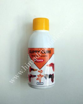 Guppy cure -Plantoz Medicine- 50ml