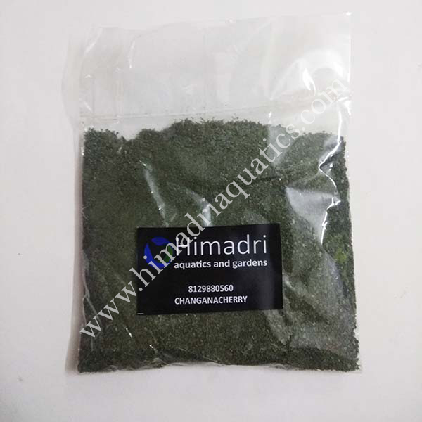 OSI Spirulina Flakes (USA)- Dried Flakes