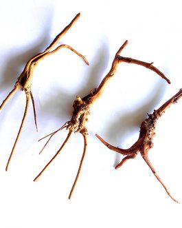 Driftwood/ Aquascaping wood ( small sized)