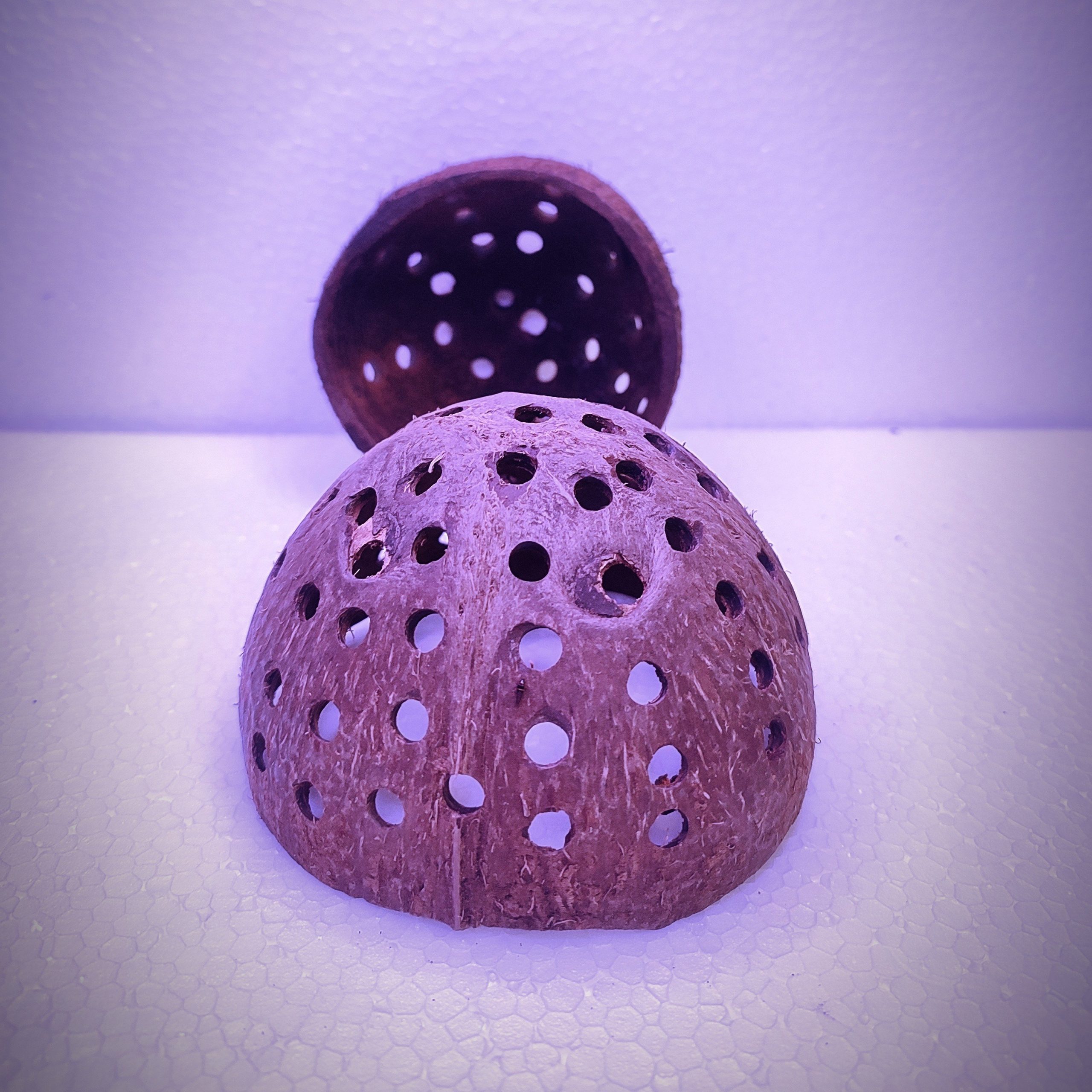 Red moss and shrimp hiding cave combo - Image 5