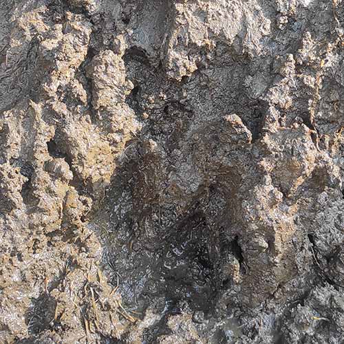 Aquarium Walstad Clay Soil (loose-1 kg) - Image 2