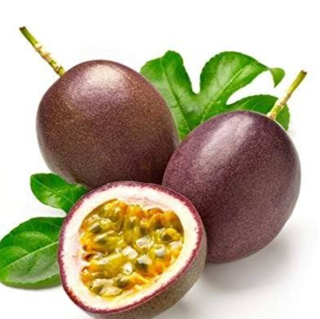 Brazilian purple passion fruit plant (single plant- 10 to 30 cms height) - Image 3