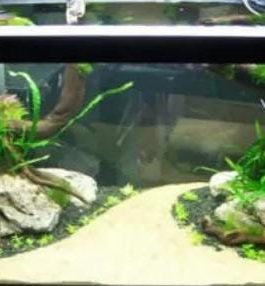 Egyptian Nile river sand (1 kg)