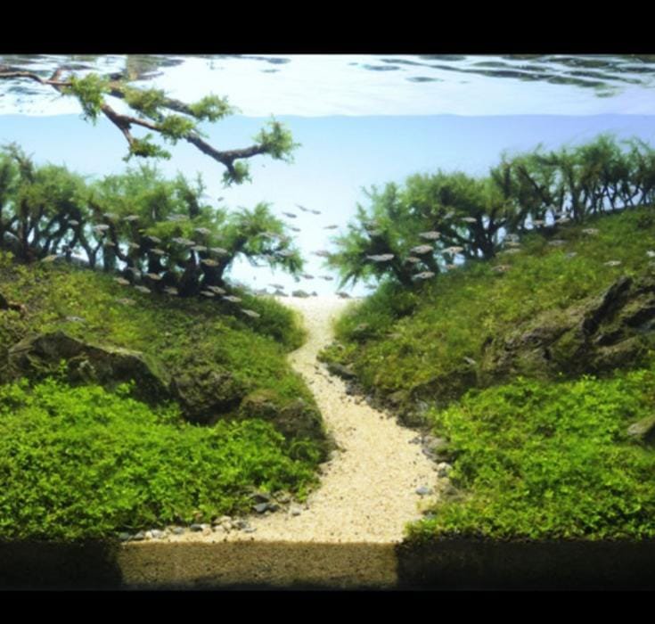 Egyptian Nile river sand (1 kg) - Image 3