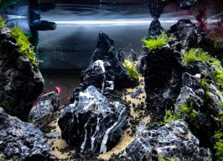 Japanese black seiryu aquascape stone (2kg) - Image 3