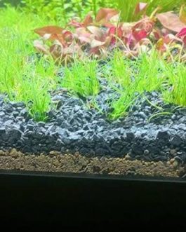 Black lava sand/chips-4mm size (1kg)