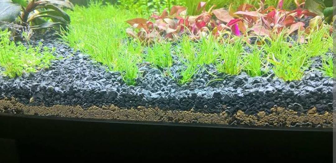 Black lava sand/chips-4mm size (1kg) - Image 2