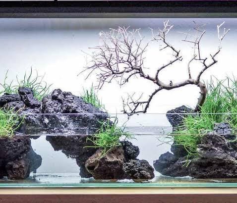 Aquarium Black Lava Rock (500 grams) - Image 2