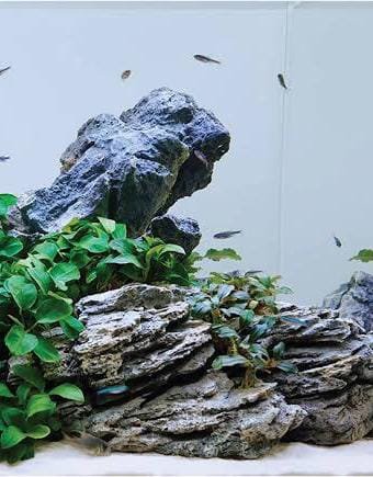 Iwagumi seiryu rock (500 grams) - Image 4