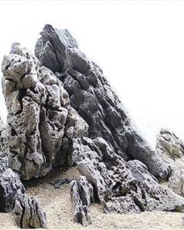 Iwagumi seiryu rock (1kg)