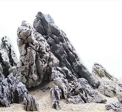 Iwagumi seiryu rock (1kg) - Image 2